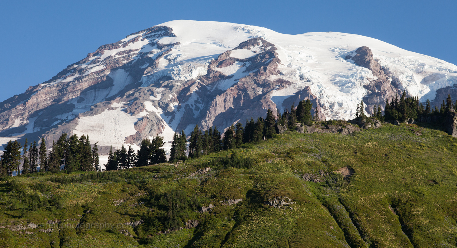 Mount Rainier Ridge